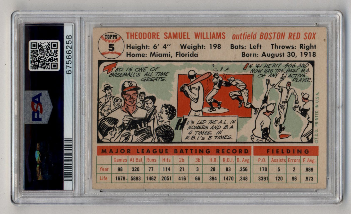 Vintage Baseball Card of Ted Williams with Cartoon Illustration and Player Stats