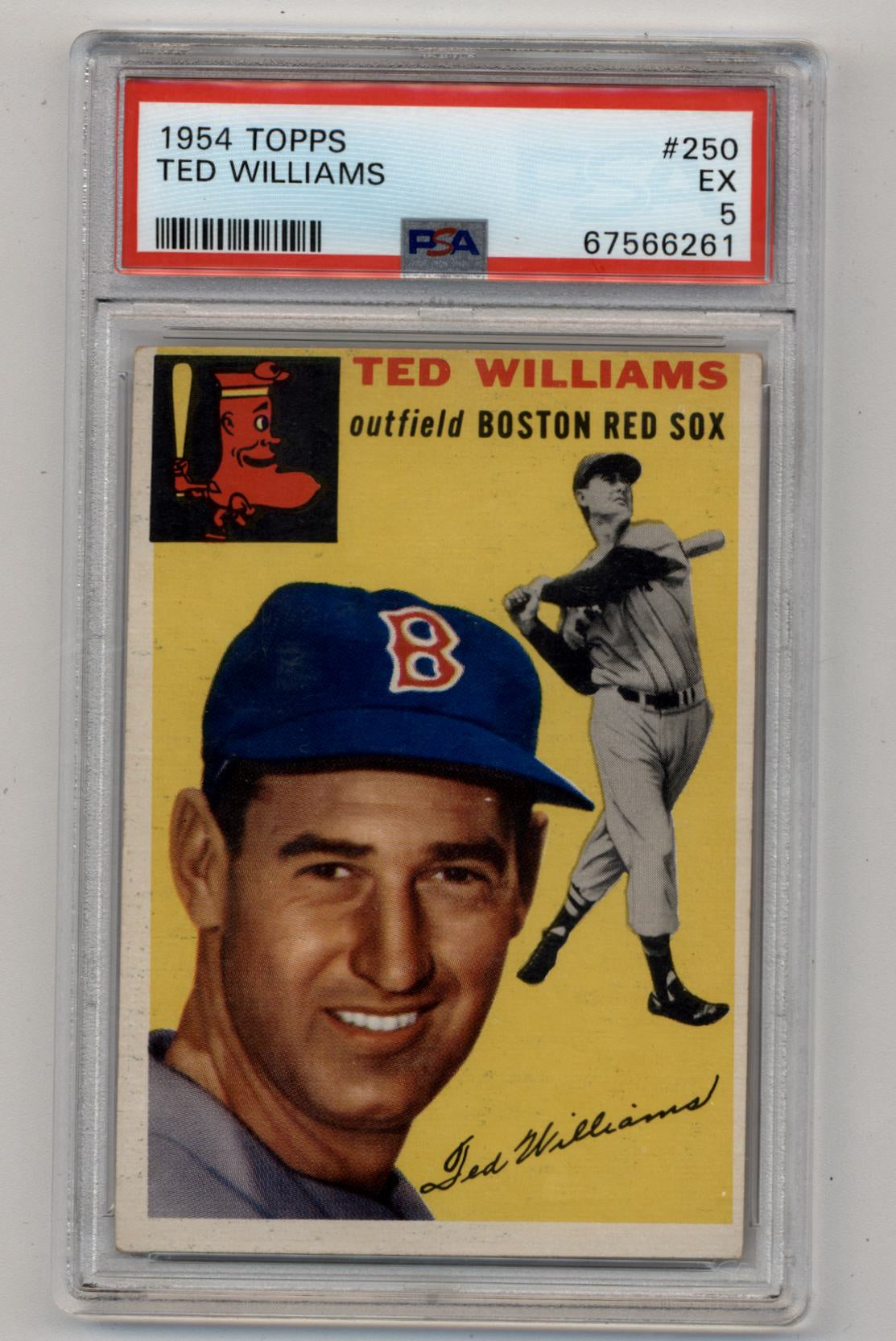 Ted Williams 1954 Topps #250 baseball card in PSA grading case for collectors