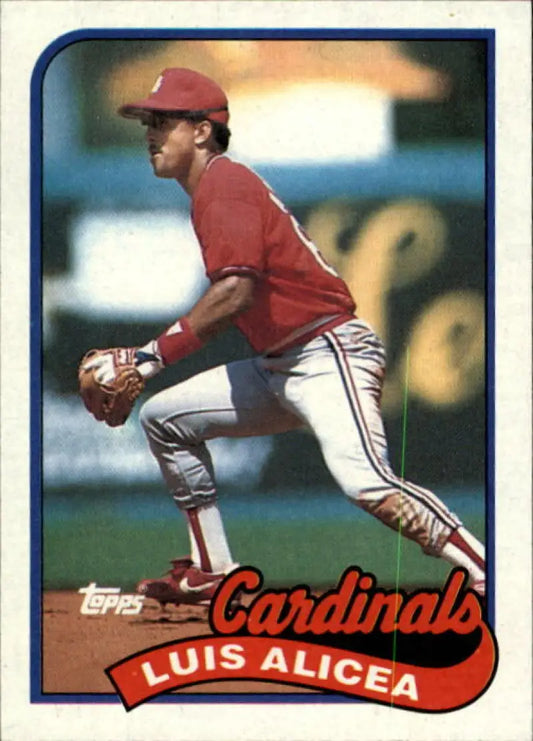 Baseball card of Luis Alicea in red uniform, St. Louis Cardinals fielding stance