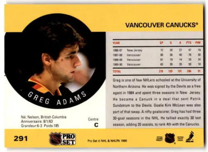 1990-91 Pro Set #291 Greg Adams hockey card near mint condition with original gloss