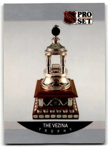 Vezina Trophy in 1990-91 Pro Set #391 Patrick Kane Original Gloss collectible card