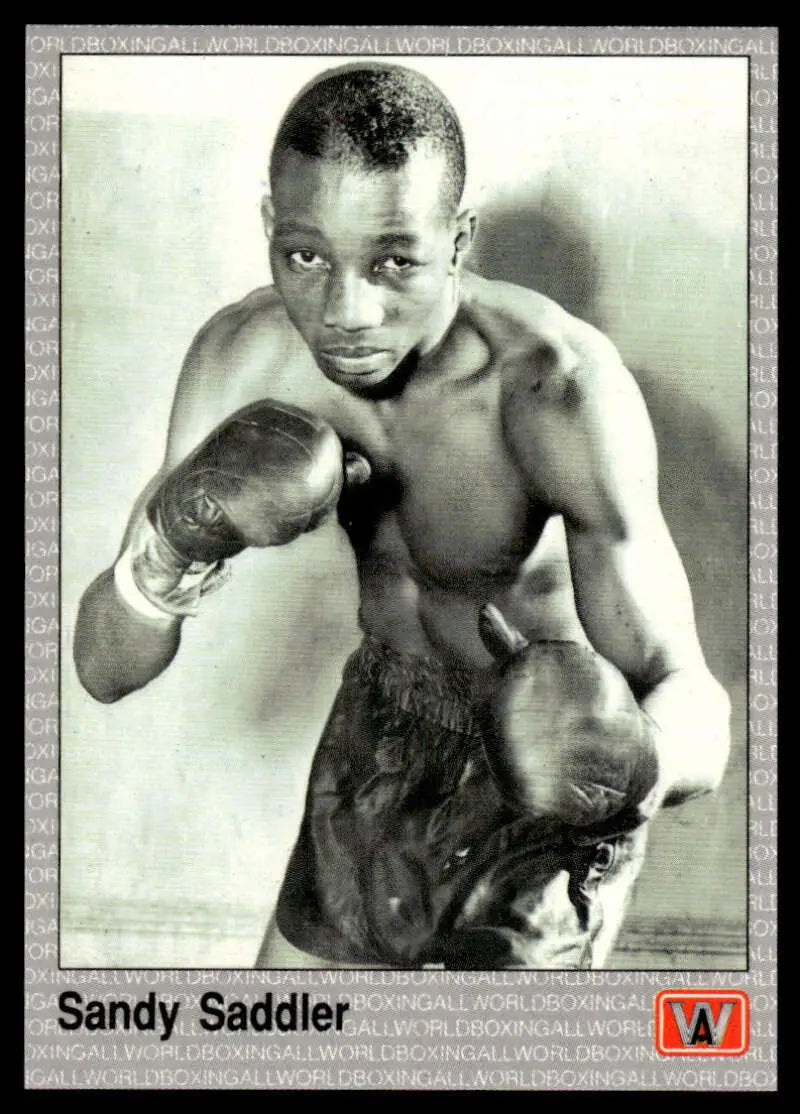 Black and white image of Sandy Saddler in fighting stance for NM-MT boxing card