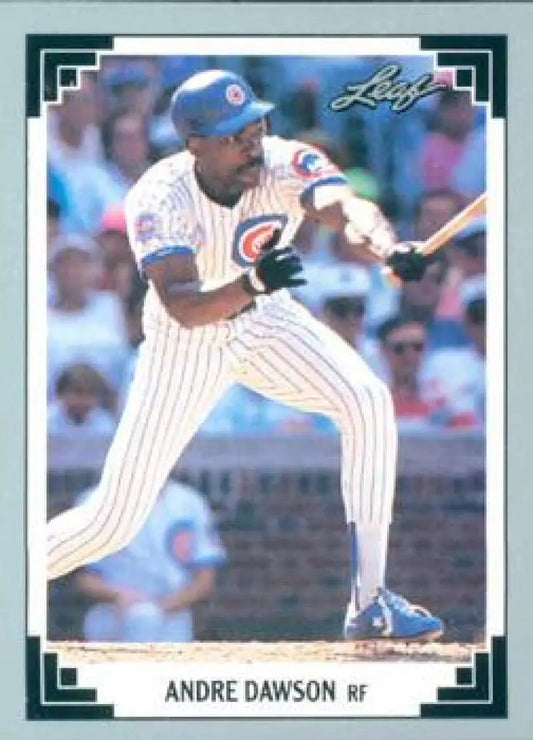 Baseball card of Andre Dawson in pinstriped uniform for Chicago Cubs preparing to bunt