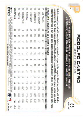 Rodolfo Castro Rookie MLB Baseball Card featuring player statistics in grid format