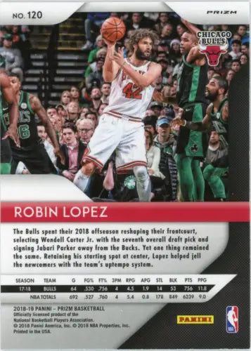 2018-19 Panini Prizm Silver #120 Robin Lopez Chicago Bulls Basketball Card NM-MT