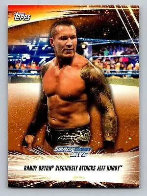 Randy Orton wrestling card from 2019 Topps WWE SummerSlam #86 collectible series