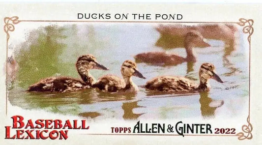 Three young ducks swimming in a row from Ginter Baseball Lexicon Ducks on the Pond