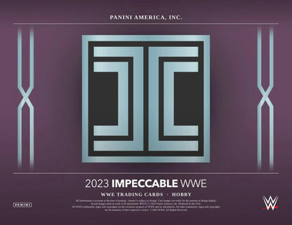 Geometric logo design of interlocking I shapes on 2023 Panini Impeccable WWE box