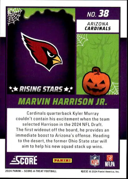 Arizona Cardinals team logo showcasing red cardinal head for Marvin Harrison Jr. A-Treat