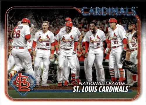 St. Louis Cardinals baseball card from 2024 Topps team card collection with original gloss