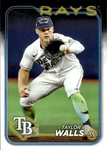 2024 Topps #559 Taylor Walls baseball card with original gloss in NM-MT condition