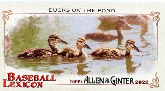 Three ducklings swimming in a row on water in Ginter Baseball Lexicon Ducks design