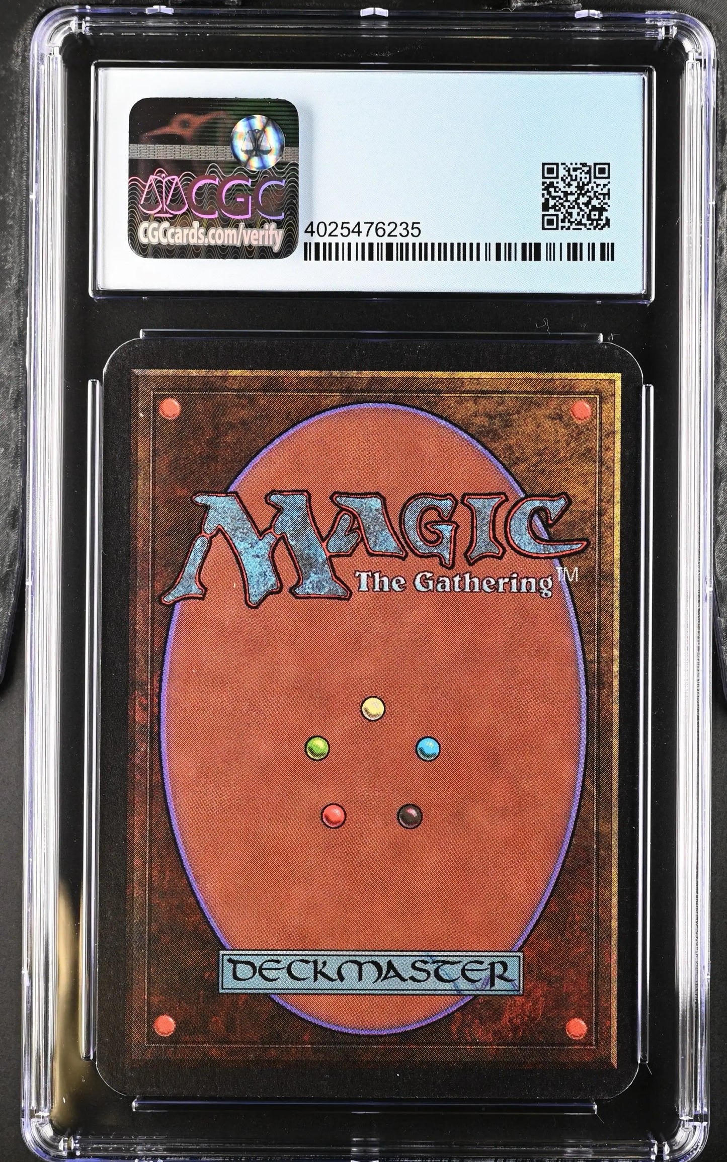 Graded Magic: The Gathering Alpha Edition Forest card in a protective case for trading cards