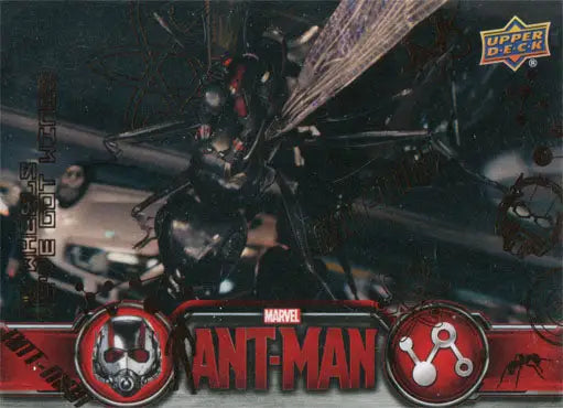 Ant-Man in superhero costume featured on Marvel Bronze Base Parallel Chase Card 41