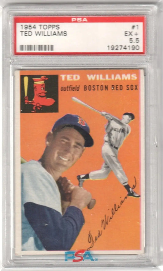 PSA-graded 1954 Topps Ted Williams baseball card with portrait and action shot, Columbia Hobby