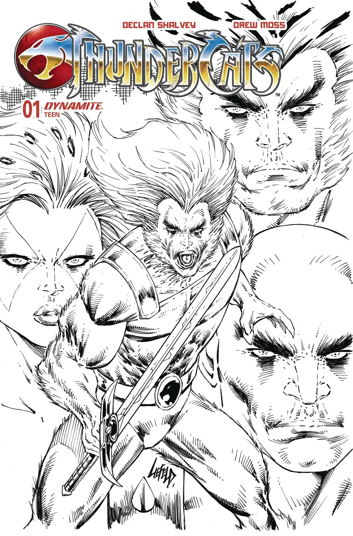 Comic book cover featuring ThunderCats character portraits by Declan Shalvey on Third Earth