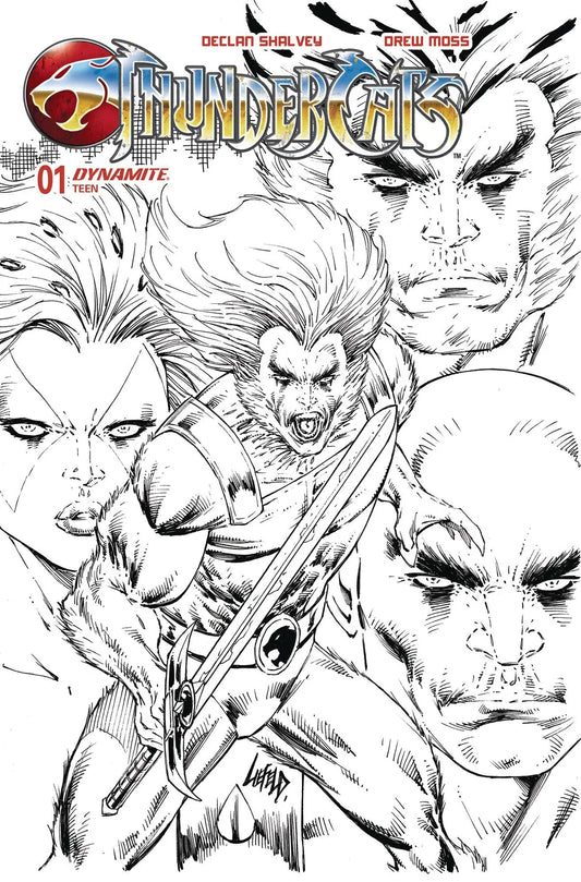 Comic book cover featuring ThunderCats character portraits by Declan Shalvey on Third Earth