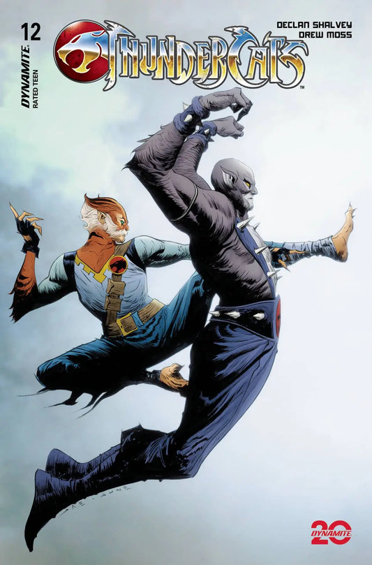 Comic book cover featuring dynamic martial arts action in THUNDERCATS #12 with characters