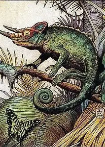 Colorful chameleon on branch with curled tail featured on William Stout Series 2 trading card