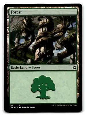 Zendikar Rising Forest card from Magic: The Gathering trading cards collection