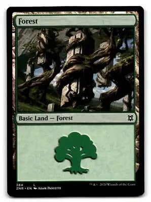 Magic: The Gathering Zendikar Rising #384 Forest trading card displayed attractively