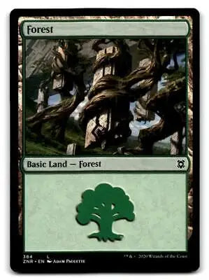 Zendikar Rising #384 Forest Magic: The Gathering trading card displayed for collectors