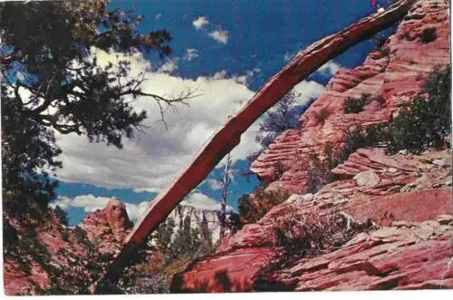 Red rock formation in Zion National Park on a Scott Post Card Western design